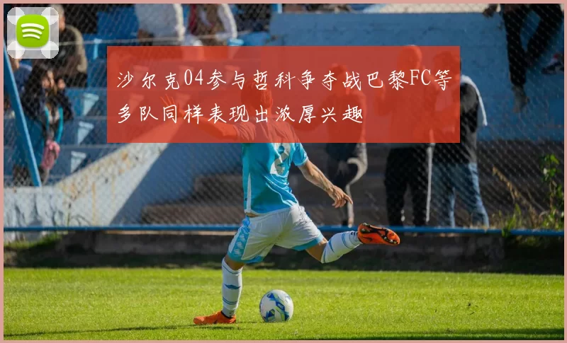 沙尔克04参与哲科争夺战巴黎FC等多队同样表现出浓厚兴趣