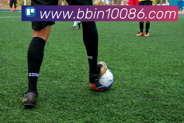 BBIN娱乐平台生态图