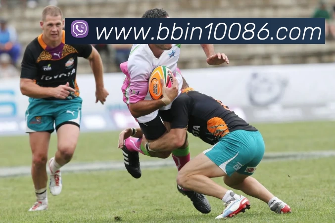 BBIN娱乐APP 封面图